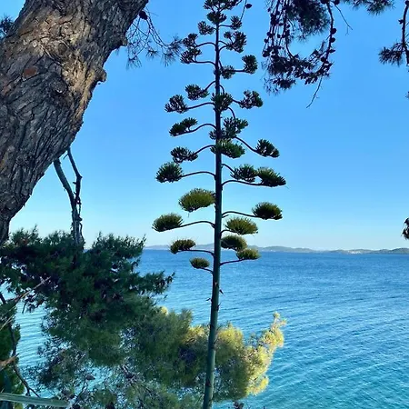 Zadar-city アパート *
